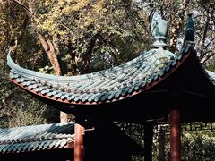 -赭山公园