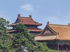 -北陵公园