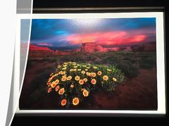 -罗红摄影艺术馆