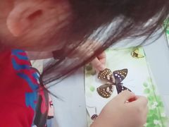 -上海昆虫博物馆