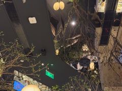 -桂满陇·海市蜃楼·黑金(国金店)