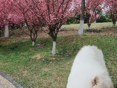 -南山风景名胜区