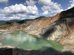 -瑞丽独树成林风景区