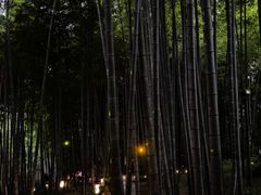 -杭州黄龙洞