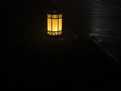 -四川大学(望江校区)