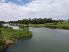 -苏州太湖湖滨国家湿地公园