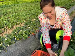 -会江钓鱼钓虾烧烤场