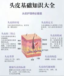 -Bollins波林丝•专研护发中心