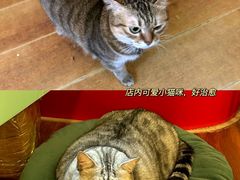 -H立方实景剧情密室(天河旗舰店)