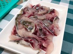 脆鲩鱼片-中山脆肉鲩(新圳东路店)