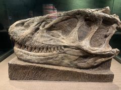 -自贡恐龙博物馆