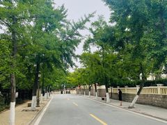-八大关景区