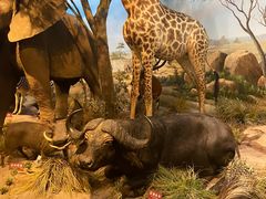 -陕西自然博物馆