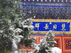 -北京艺术博物馆(万寿寺)