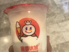 -蜜雪冰城(乐松店)