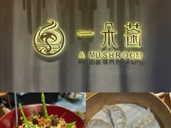 -一朵菌·野生菌探索家火锅(南亚店)