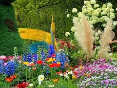 -上海共青森林公园