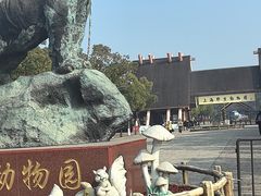 -上海野生动物园