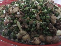 -东吴霸王兔(松青路店)