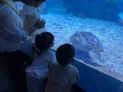 -南昌海洋公园