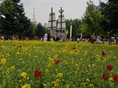 -长春公园(普阳街道)