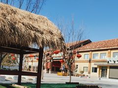 -南宫五洲植物乐园