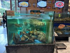 -聚福宝合苑食府(南头镇店)