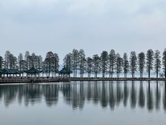 -东湖听涛景区