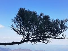 -秦岭天竺山生态文化旅游景区