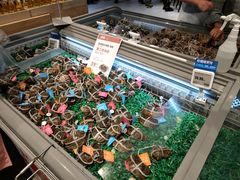 -盒马鲜生(皇庭广场店)