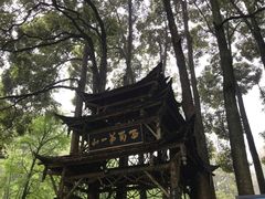 -青城山