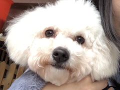 -萌兽医馆·宠物医院·猫骨科(创景店)