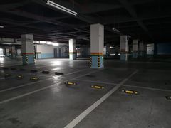 -重庆市江北嘴中央商务区中央公园