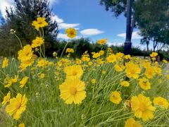 -永定河休闲森林公园