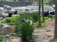 -白水寺森林公园