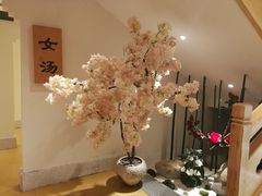-善水温泉·汗蒸·SPA·生活会馆(桑田路店)