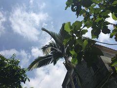 -开平碉楼文化旅游区马降龙景区