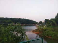 -聚龙山公园