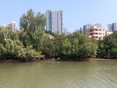 -大亚湾红树林城市湿地公园