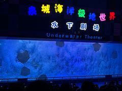 -泉城欧乐堡海洋极地世界