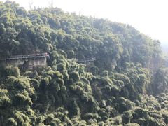 -川西竹海景区