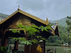 -西双版纳原始森林公园