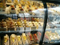 -卡萨米亚动物奶油生日蛋糕(牡丹城店)