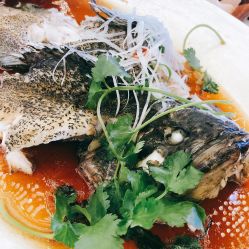 -静安洲际酒店·宴会厅