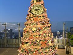 -Hi City·城市之巅