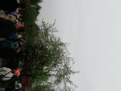 -大雁塔北广场音乐喷泉