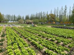 -前小桔亲子创意农场·草莓采摘·露营烧烤