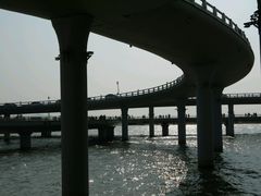 -演武大桥观景平台