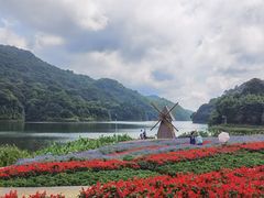 -广州市石门国家森林公园