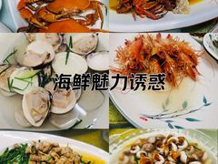 -黄海国家森林公园